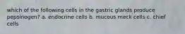 which of the following cells in the gastric glands produce pepsinogen? a. endocrine cells b. mucous meck cells c. chief cells