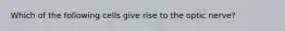 Which of the following cells give rise to the optic nerve?