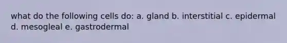 what do the following cells do: a. gland b. interstitial c. epidermal d. mesogleal e. gastrodermal