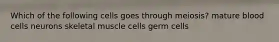 Which of the following cells goes through meiosis? mature blood cells neurons skeletal muscle cells germ cells