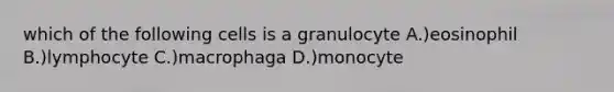 which of the following cells is a granulocyte A.)eosinophil B.)lymphocyte C.)macrophaga D.)monocyte