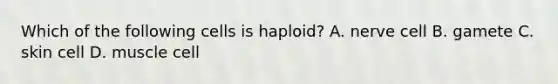 Which of the following cells is haploid? A. nerve cell B. gamete C. skin cell D. muscle cell