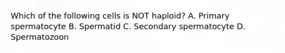 Which of the following cells is NOT haploid? A. Primary spermatocyte B. Spermatid C. Secondary spermatocyte D. Spermatozoon