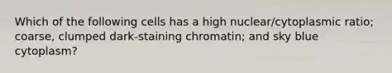 Which of the following cells has a high nuclear/cytoplasmic ratio; coarse, clumped dark-staining chromatin; and sky blue cytoplasm?