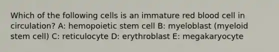 Which of the following cells is an immature red blood cell in circulation? A: hemopoietic stem cell B: myeloblast (myeloid stem cell) C: reticulocyte D: erythroblast E: megakaryocyte