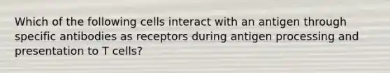 Which of the following cells interact with an antigen through specific antibodies as receptors during antigen processing and presentation to T cells?