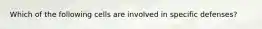 Which of the following cells are involved in specific defenses?