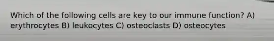 Which of the following cells are key to our immune function? A) erythrocytes B) leukocytes C) osteoclasts D) osteocytes