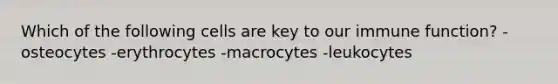 Which of the following cells are key to our immune function? -osteocytes -erythrocytes -macrocytes -leukocytes