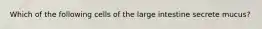 Which of the following cells of the large intestine secrete mucus?