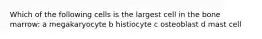 Which of the following cells is the largest cell in the bone marrow: a megakaryocyte b histiocyte c osteoblast d mast cell