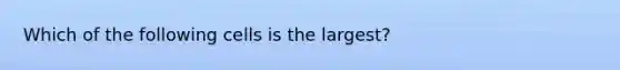 Which of the following cells is the largest?