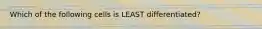 Which of the following cells is LEAST differentiated?