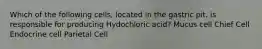 Which of the following cells, located in the gastric pit, is responsible for producing Hydochloric acid? Mucus cell Chief Cell Endocrine cell Parietal Cell