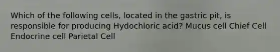 Which of the following cells, located in the gastric pit, is responsible for producing Hydochloric acid? Mucus cell Chief Cell Endocrine cell Parietal Cell