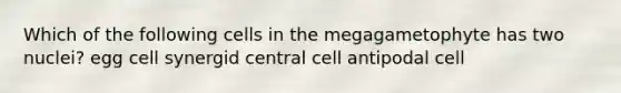 Which of the following cells in the megagametophyte has two nuclei? egg cell synergid central cell antipodal cell