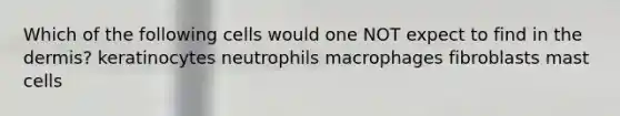 Which of the following cells would one NOT expect to find in the dermis? keratinocytes neutrophils macrophages fibroblasts mast cells