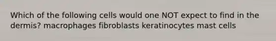 Which of the following cells would one NOT expect to find in the dermis? macrophages fibroblasts keratinocytes mast cells