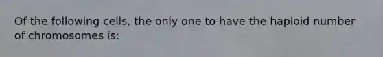 Of the following cells, the only one to have the haploid number of chromosomes is: