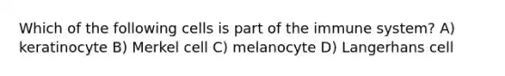 Which of the following cells is part of the immune system? A) keratinocyte B) Merkel cell C) melanocyte D) Langerhans cell