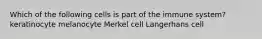 Which of the following cells is part of the immune system? keratinocyte melanocyte Merkel cell Langerhans cell