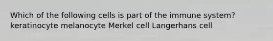 Which of the following cells is part of the immune system? keratinocyte melanocyte Merkel cell Langerhans cell