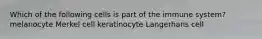 Which of the following cells is part of the immune system? melanocyte Merkel cell keratinocyte Langerhans cell