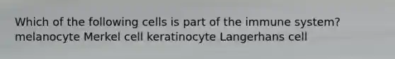 Which of the following cells is part of the immune system? melanocyte Merkel cell keratinocyte Langerhans cell