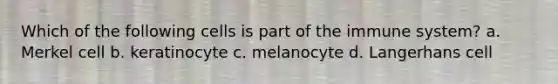 Which of the following cells is part of the immune system? a. Merkel cell b. keratinocyte c. melanocyte d. Langerhans cell