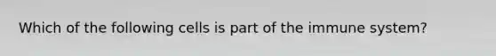 Which of the following cells is part of the immune system?