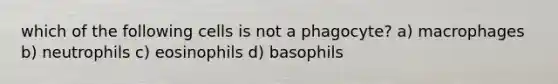 which of the following cells is not a phagocyte? a) macrophages b) neutrophils c) eosinophils d) basophils