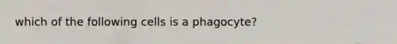 which of the following cells is a phagocyte?