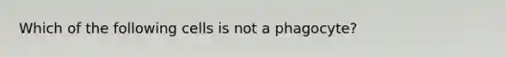 Which of the following cells is not a phagocyte?