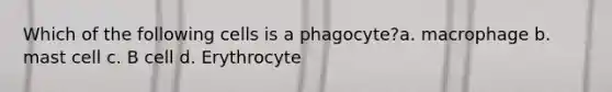 Which of the following cells is a phagocyte?a. macrophage b. mast cell c. B cell d. Erythrocyte