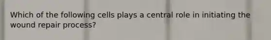 Which of the following cells plays a central role in initiating the wound repair process?