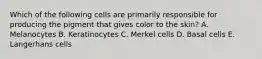 Which of the following cells are primarily responsible for producing the pigment that gives color to the skin? A. Melanocytes B. Keratinocytes C. Merkel cells D. Basal cells E. Langerhans cells