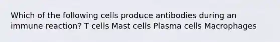 Which of the following cells produce antibodies during an immune reaction? T cells Mast cells Plasma cells Macrophages