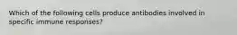 Which of the following cells produce antibodies involved in specific immune responses?