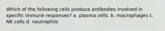 Which of the following cells produce antibodies involved in specific immune responses? a. plasma cells. b. macrophages c. NK cells d. neutrophils