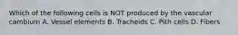 Which of the following cells is NOT produced by the vascular cambium A. Vessel elements B. Tracheids C. Pith cells D. Fibers