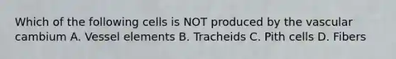Which of the following cells is NOT produced by the vascular cambium A. Vessel elements B. Tracheids C. Pith cells D. Fibers