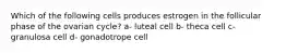 Which of the following cells produces estrogen in the follicular phase of the ovarian cycle? a- luteal cell b- theca cell c- granulosa cell d- gonadotrope cell