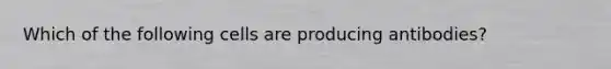 Which of the following cells are producing antibodies?