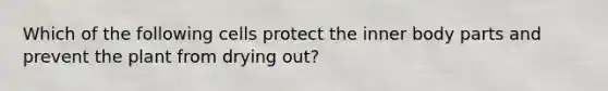 Which of the following cells protect the inner body parts and prevent the plant from drying out?