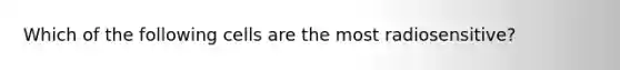 Which of the following cells are the most radiosensitive?