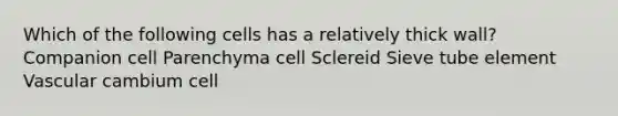 Which of the following cells has a relatively thick wall? Companion cell Parenchyma cell Sclereid Sieve tube element Vascular cambium cell