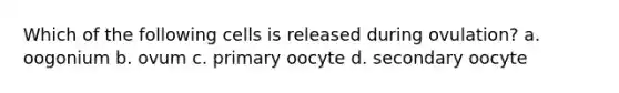 Which of the following cells is released during ovulation? a. oogonium b. ovum c. primary oocyte d. secondary oocyte