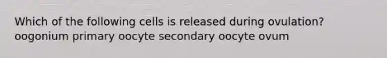 Which of the following cells is released during ovulation? oogonium primary oocyte secondary oocyte ovum