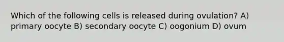 Which of the following cells is released during ovulation? A) primary oocyte B) secondary oocyte C) oogonium D) ovum