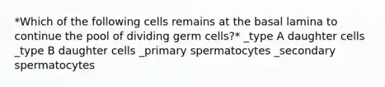 *Which of the following cells remains at the basal lamina to continue the pool of dividing germ cells?* _type A daughter cells _type B daughter cells _primary spermatocytes _secondary spermatocytes